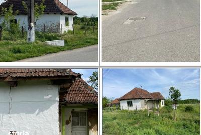 Casă cu 2 camere cu Teren 3597 Mp în Păulești - 3