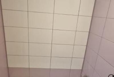 Garsoniera Dristor Garsoniera Dristor - 7