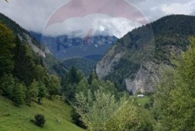 Comision 0 %/ Teren extravilan 13,570mp Pestera / Priveliste Manastire - 10