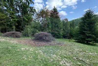 Teren de 8500 mp, în Dălghiu - 2