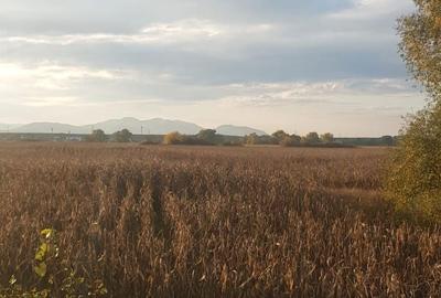 Teren de 3940 mp, în Simeria - 3