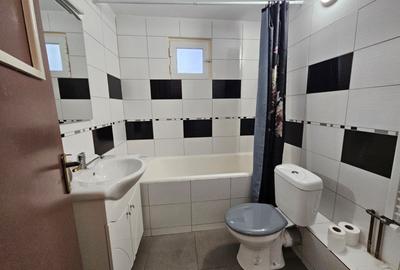 Apartament cu 3 camere decomandat, mobilat în Gorjului - 17