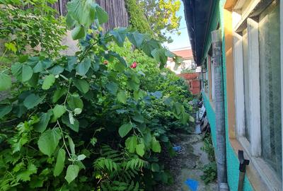 Casă cu 4 camere cu Canalizare în Central - 3