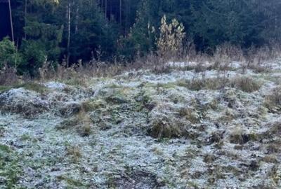 Teren de 19984 mp, în Mănăstirea Humorului - 4