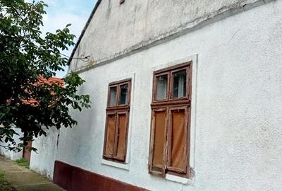 Casă cu 3 camere cu Teren 1417 Mp în Uivar - 2