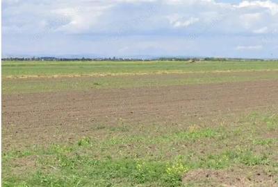 Teren extravilan Cocorastii Colt ; ID: R2710069 - 4