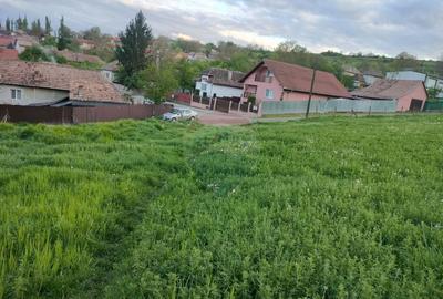 Teren de 2983 mp, în Târnăveni