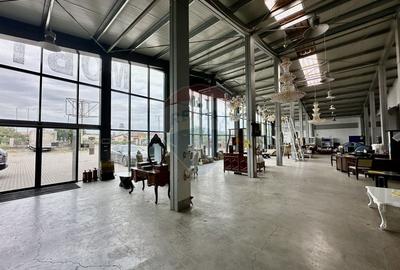 Hala/Showroom 1400mp Calea Moldovei - 2