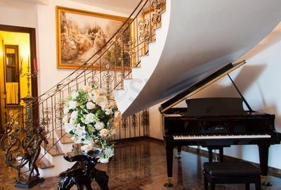 REV2000904 Vila spectaculoasa - zona Cernica - 14