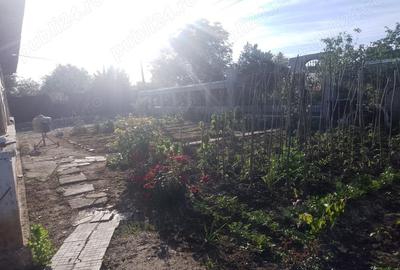Casă cu 3 camere în Băneasa - 5