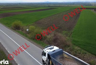 Teren de 5000 mp, în Ozun - 4