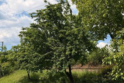Garsonieră semidecomandată în Mărăști - 4