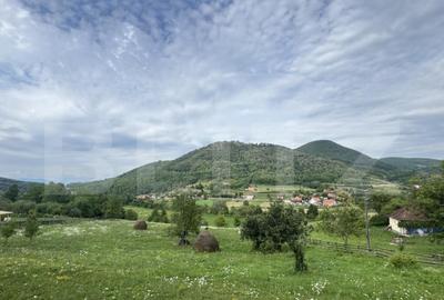 Teren intravilan, 4364 mp, in Luncoiu de Jos