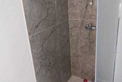 Apartament cu 3 camere decomandat în Răzvad - 4