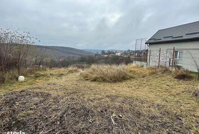 Spațiu comercial, în Feleacu - 2