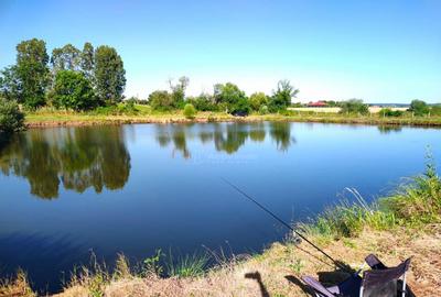 Teren 18.247 mp cu balta de pescuit Misca, Comuna Chi... - 10