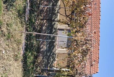 Casă cu Teren 3400 Mp în Susag - 1