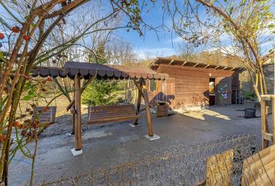 Casa cu 5 camere in Barzava - 12