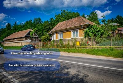 Gospodarie spatioasa, dupa bariera Vasiesti - Al. Ioan Cuza nr. 11