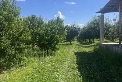 Casă cu 2 camere cu Teren 110 Mp în Voinești - 5