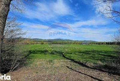 Teren de 10000 mp, în Vânători-Neamț - 14