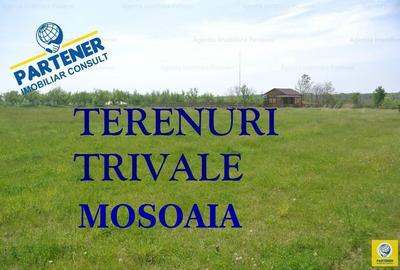 Teren Construcții intravilan de 533 mp, în Trivale
