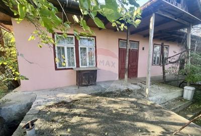 Casă cu mult teren,  sat Șerbănești, com. Corbița, jud. Vrancea