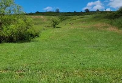 Teren zona com. Sanpaul, jud. Cluj - 2