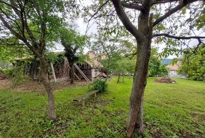 PF vand casa in loc. Moldovenesti, teren 1053mp - 5