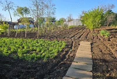 Casă cu Teren 1386 Mp în Cuza Vodă - 4
