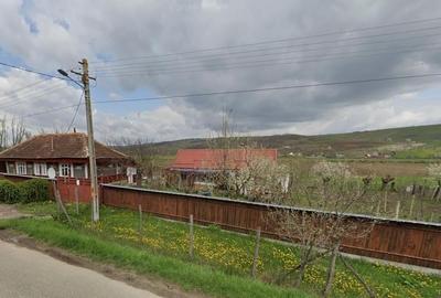 Casa + Teren 3500 mp intravilan + 11500 mp teren agricol, extravilan - 4