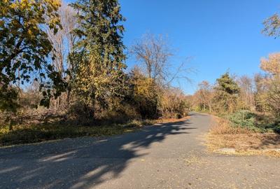 Teren Construcții intravilan de 19470 mp, în 1 Decembrie - 11