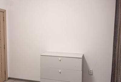 Apartament cu 2 camere semidecomandat în Giurgiului - 9