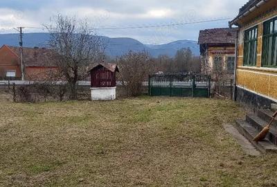 Casă cu Teren 6400 Mp în Petriș - 3