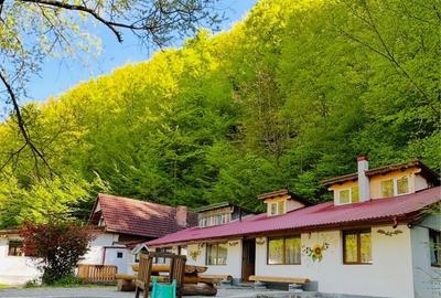 Casă cu 4 camere cu Teren 3000 Mp în Strungari - 8