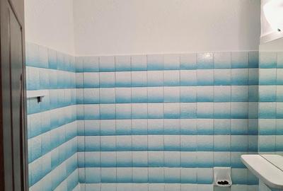 Apartament cu 3 camere semidecomandat în Iancului - 1
