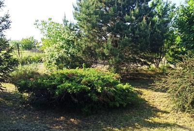 Teren de 50000 mp, în Zorile - 3