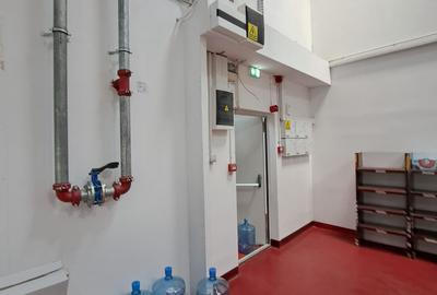 Spatiu cash&carry Afumati - 3