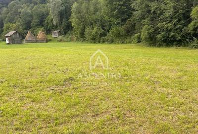 Teren de 4500 mp, în Dâmbovicioara