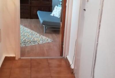 Drumul Taberei - Favorit-  Pet Friendly - 5