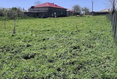 Teren de 1400 mp, în Dulcești - 5