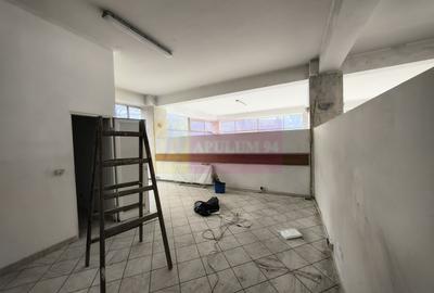 Spațiu comercial, de 238 mp, în Alexandriei - 14