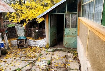 Casă cu 2 camere în Ciurari - 4