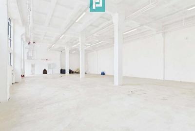 Hala industriala de 295 mp in Arad - 2