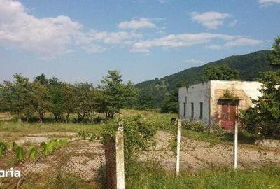 Teren de 85000 mp, în Alexandru cel Bun - 7