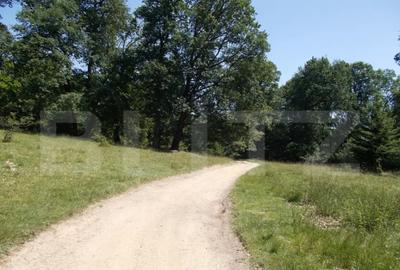 Teren în Central - 1