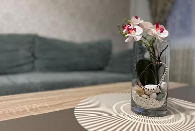 Vanzare apartament 2 camere Drumul Taberei Parc 110 000 euro