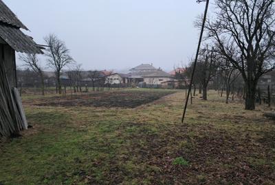 Casa de vanzare in Ibanesti - 3