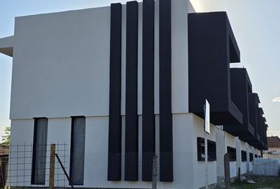 Casă cu 3 camere în Teiu - 1