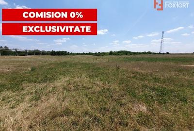 COMISION 0% Teren de vanzare intravilan de 5000 mp in Chisoda - 6